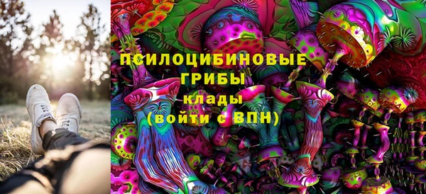 спиды Баксан