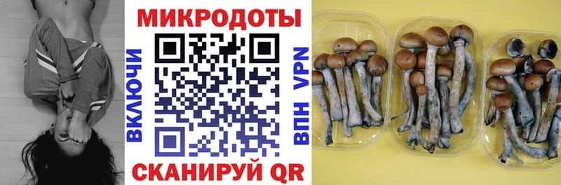 даркнет официальный сайт  Михайлов  Галлюциногенные грибы ЛСД 